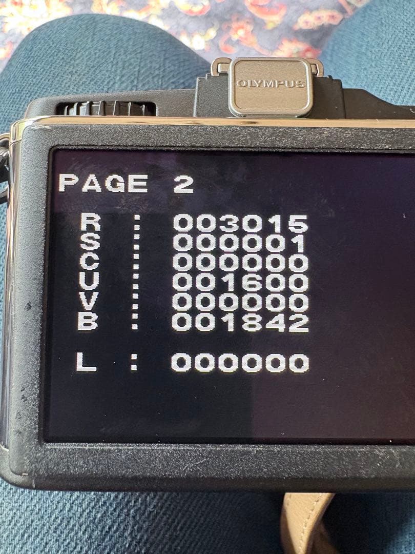 OLYMPUS ミラーレス一眼　E-P2 シャッター数3015 本体