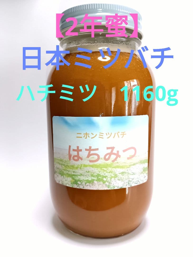 【希少！2年熟成蜜】日本のミツバチ　はちみつ　信州産　非加熱　1160g