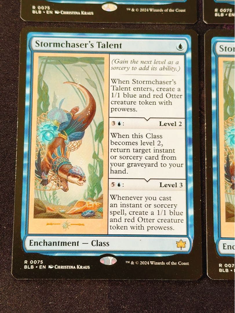 嵐追いの才能　英語　4枚セット