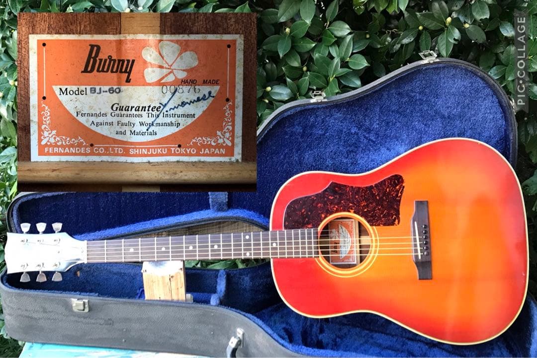 Bunny BJ-60 バーニー フェルナンデス