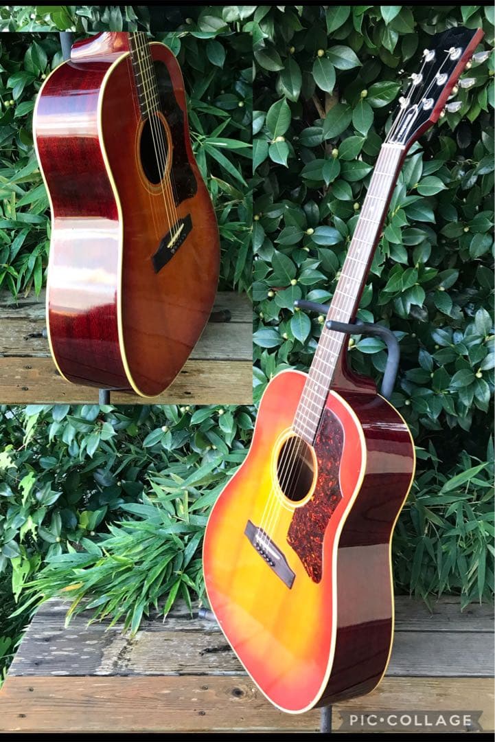 Bunny BJ-60 バーニー フェルナンデス