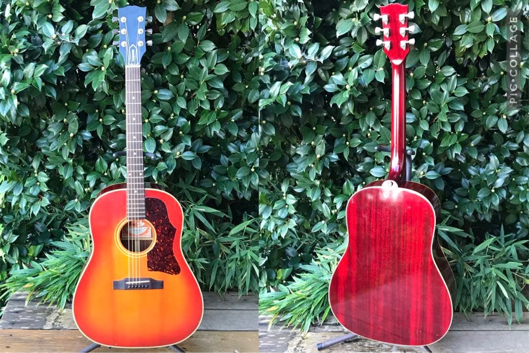 Bunny BJ-60 バーニー フェルナンデス