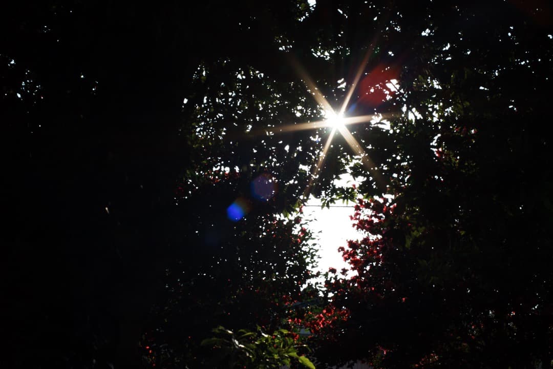 【フルセット】Carl Zeiss Planar 50mm F1.4 MMJ