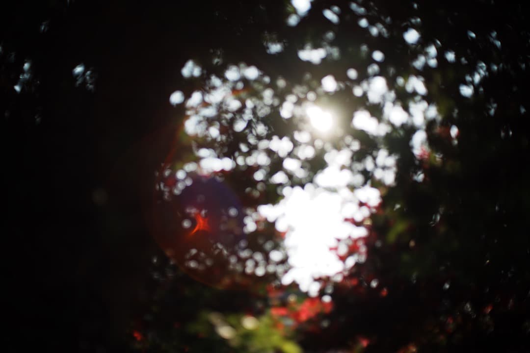 【フルセット】Carl Zeiss Planar 50mm F1.4 MMJ