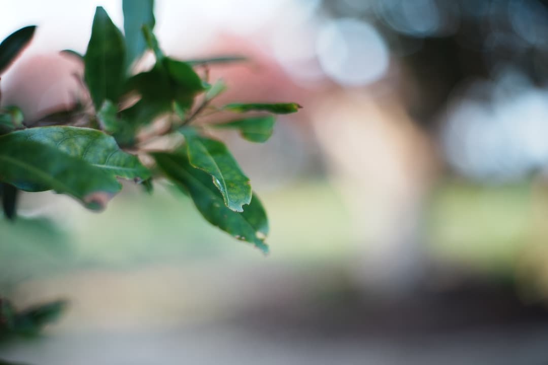 【フルセット】Carl Zeiss Planar 50mm F1.4 MMJ