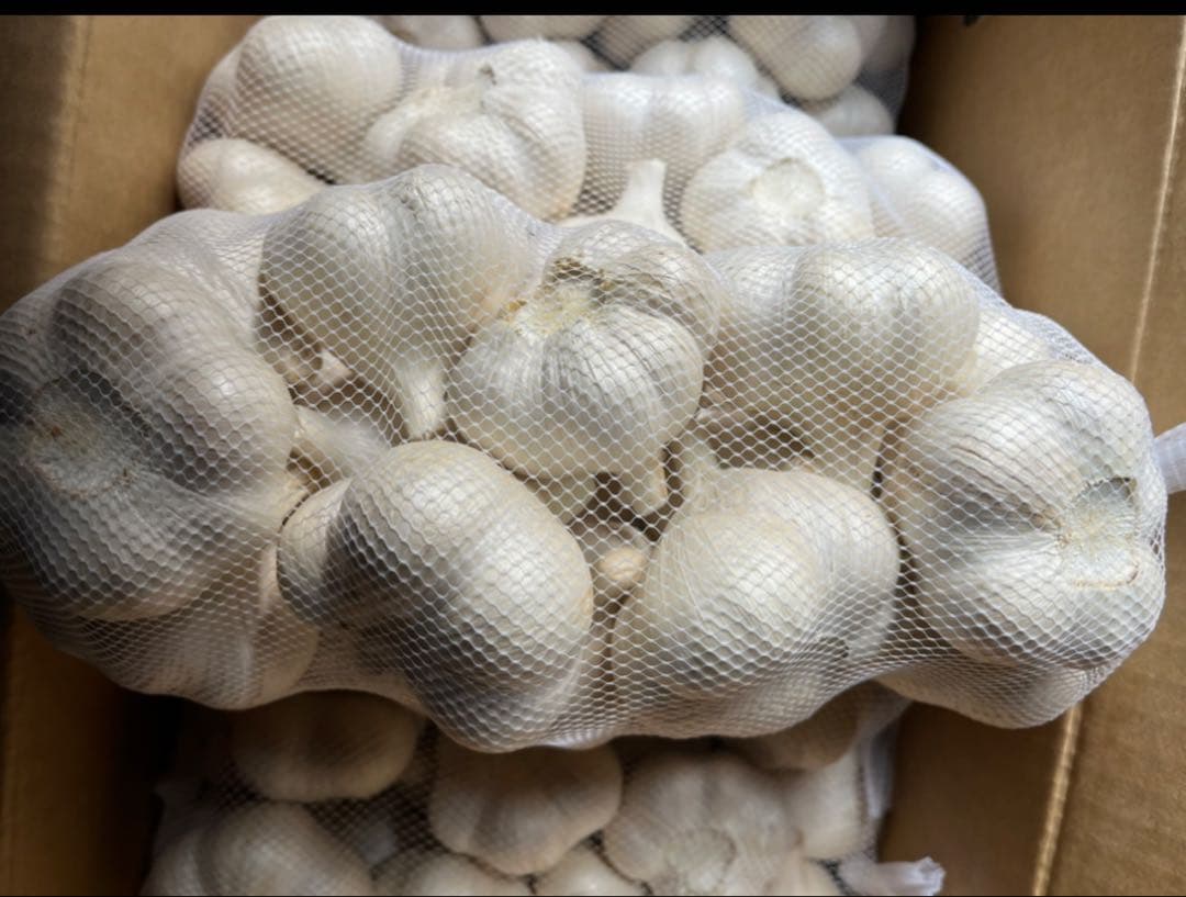 青森産　にんにく　A品Lサイズ　 10キロ　JA全農あおもり　送料無料