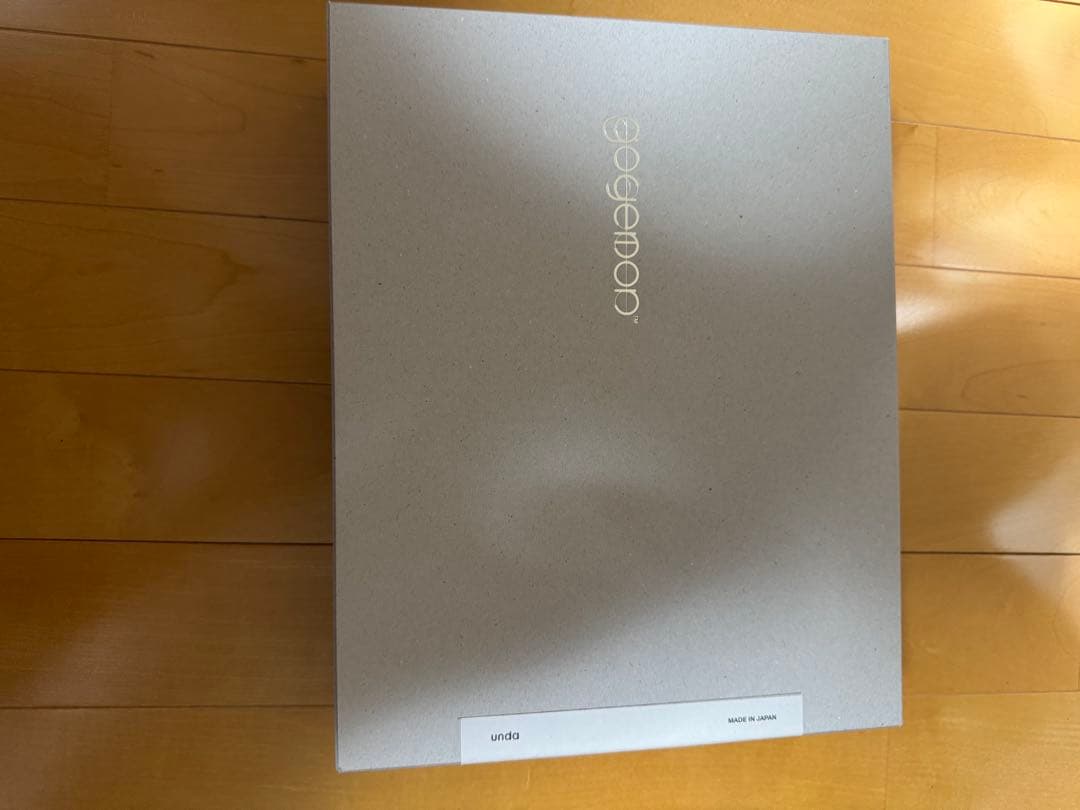 goyemon ユナイテッドアローズ別注unda