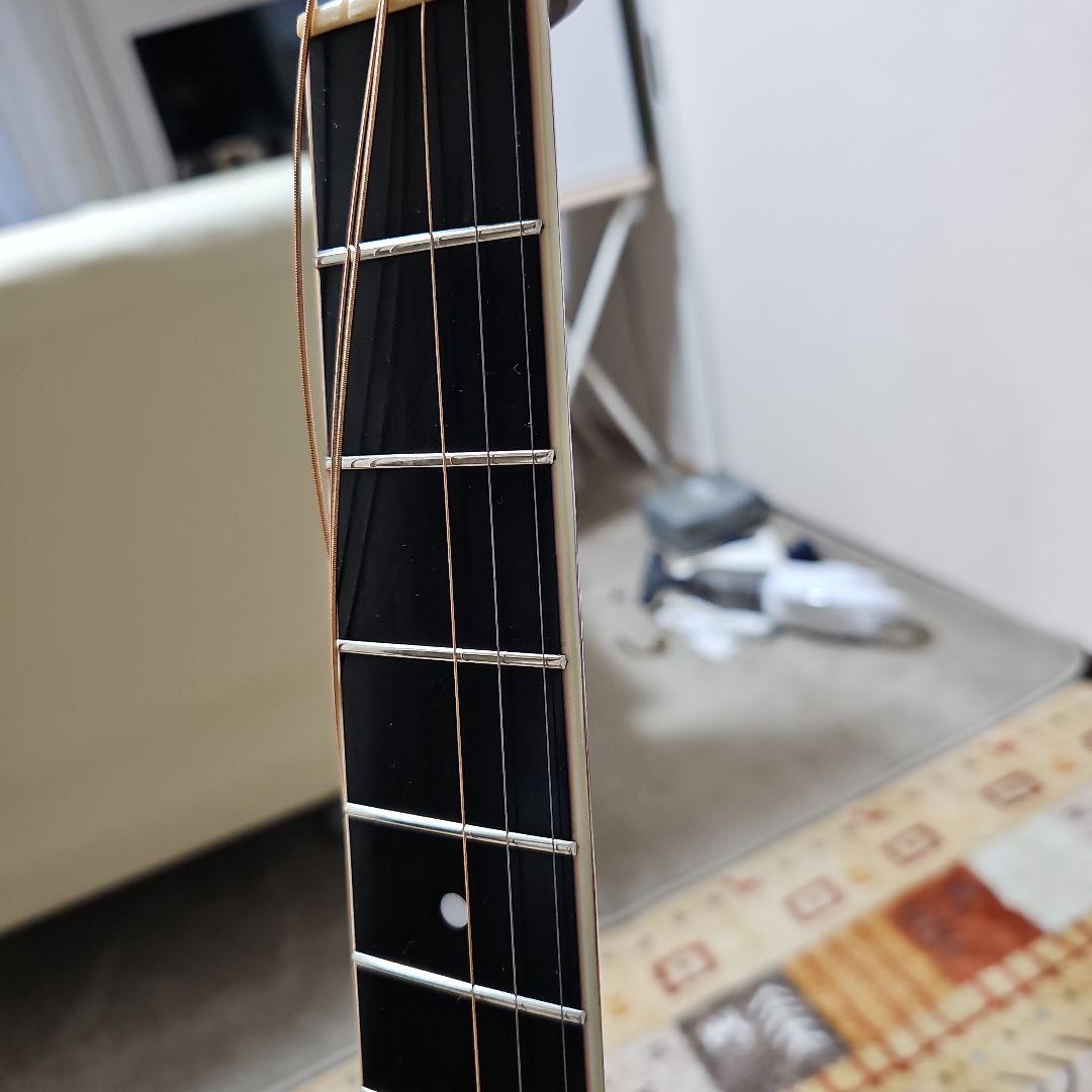 S.yairi.YD-305トップバック単板！ハードケース付き