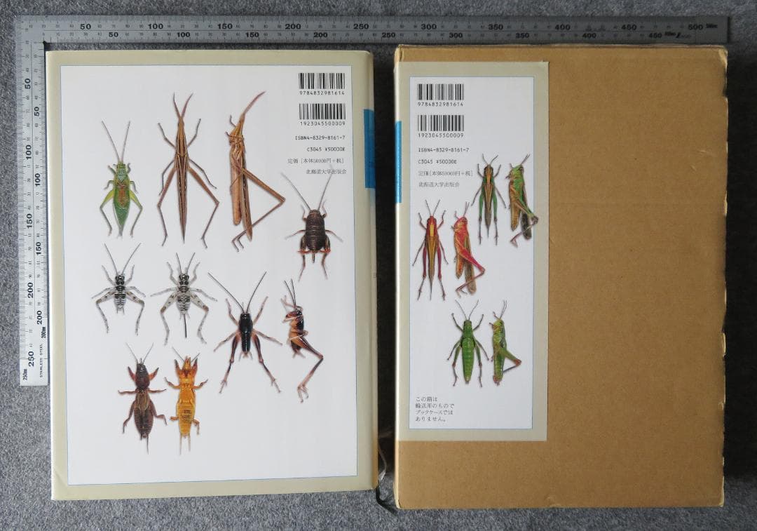 バッタ・コオロギ・キリギリス大図鑑