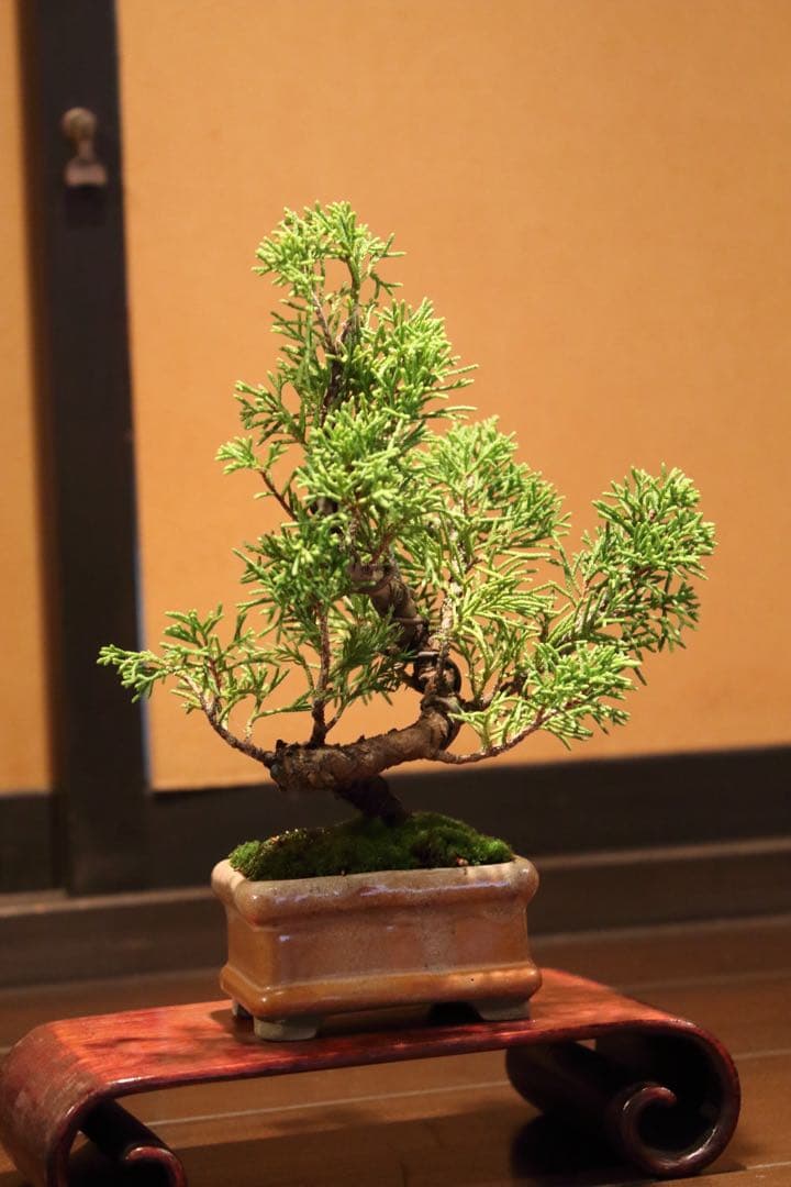 Lレンズ！　キヤノン CANON EF80-200ｍｍ F2.8 L