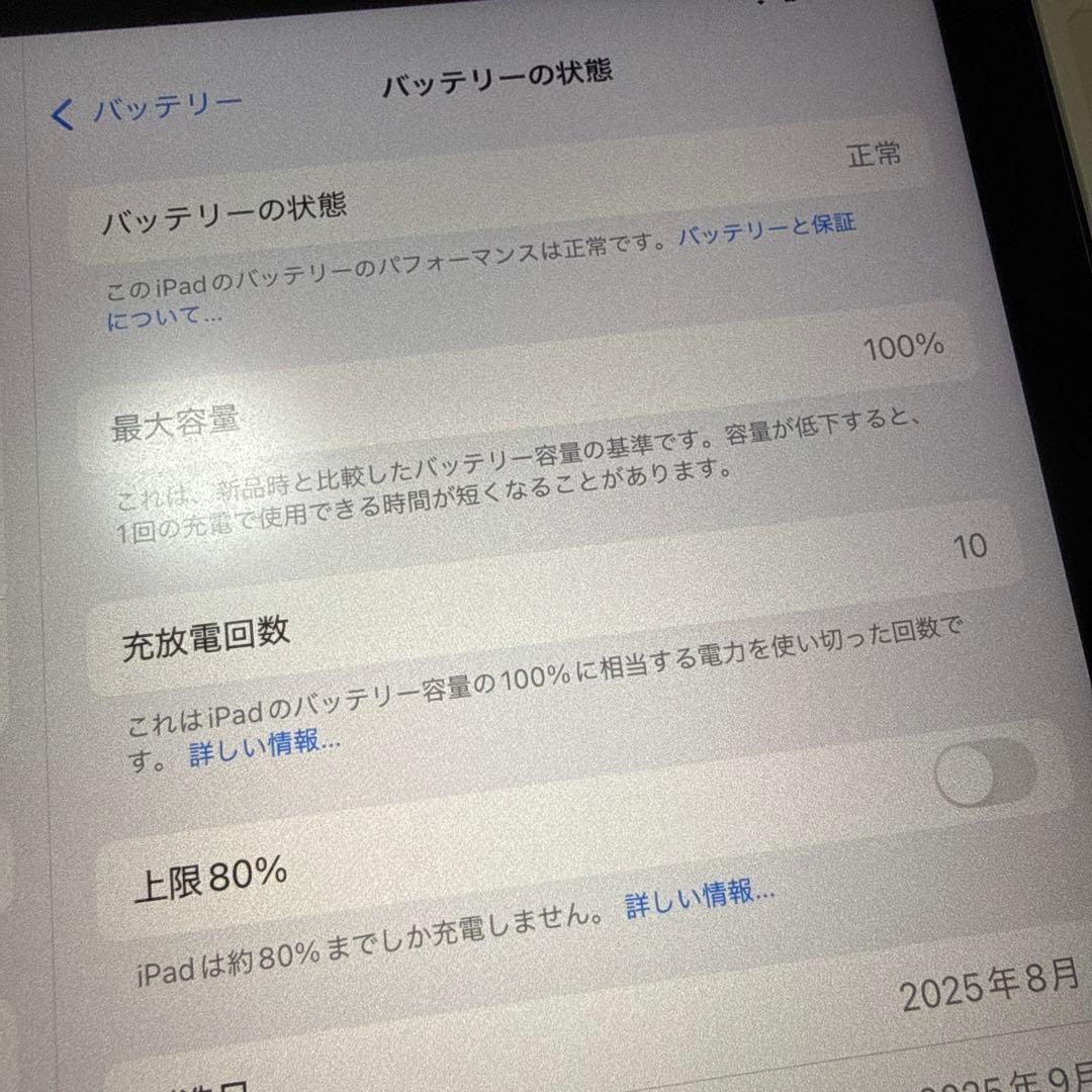 Apple iPad本体 ブルー
