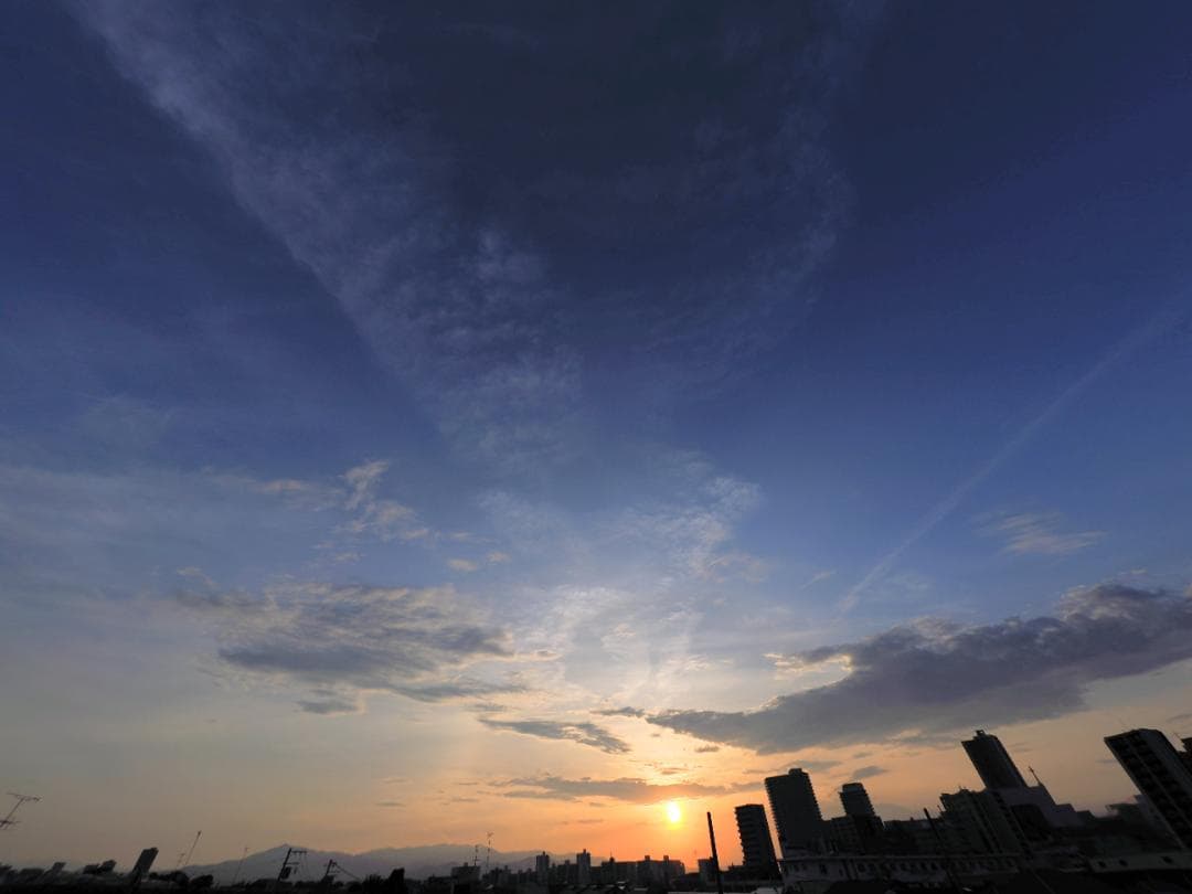 レンズ(単焦点) M.ZUIKO DIGITAL 8mm f1.8 fisheye pro
