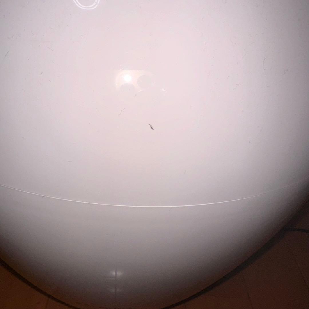 バルミューダ　Rain 加湿器