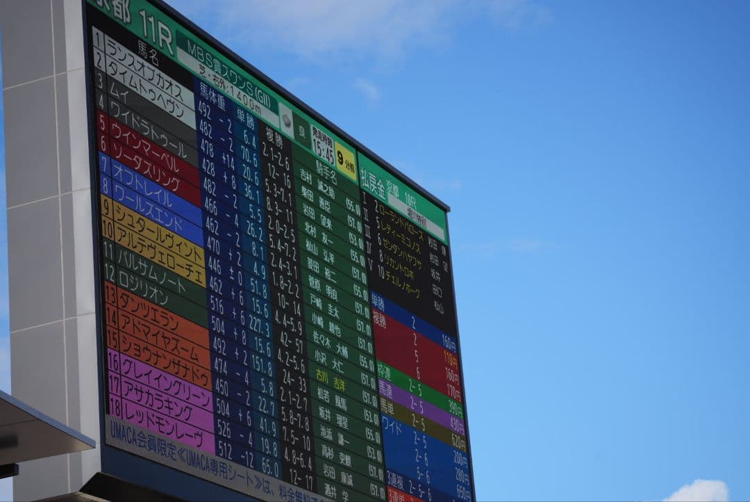 再出品SIGMA 100-400mm F5-6.3 DG DN OS　Eマウント