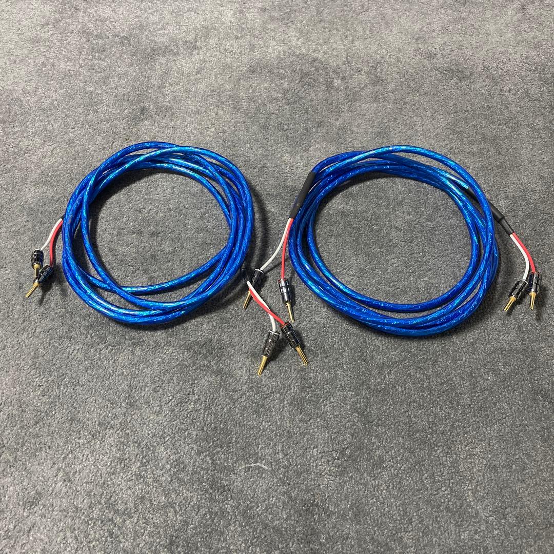 ZONOTONE 6NSP-Granster 2200α 2本ペア3m