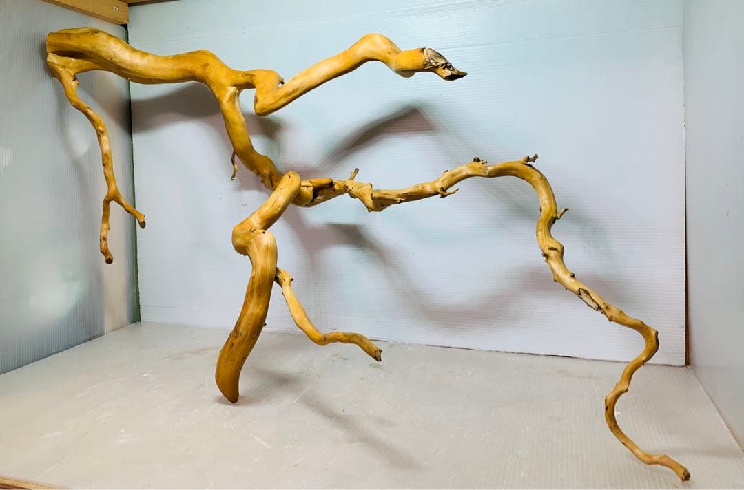 水槽用流木レイアウト　水槽。流木　。水生植物。流木 アクアリウム 盆栽流木