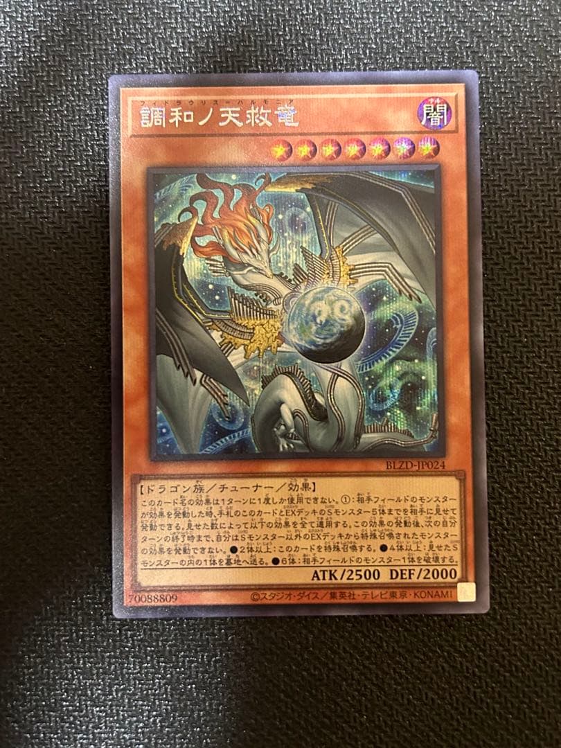 セ*ン様 調和の天救竜