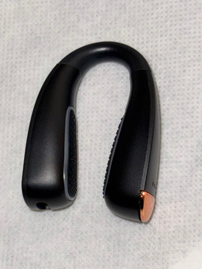 NIPLUX QNOSE 鼻専用EMS美顔器 高橋大輔ご愛用 森脇梨々夏鼻美顔器