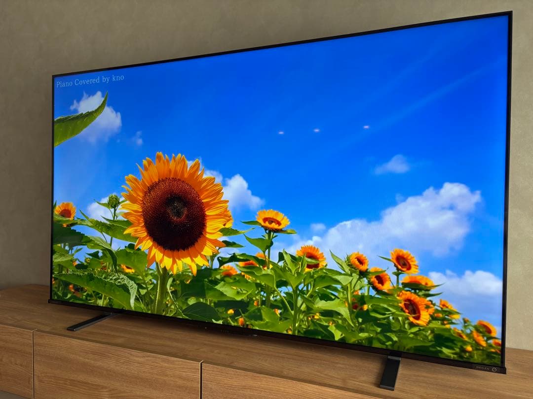 キョ　REGZA 65インチ　4K液晶テレビ　24年製