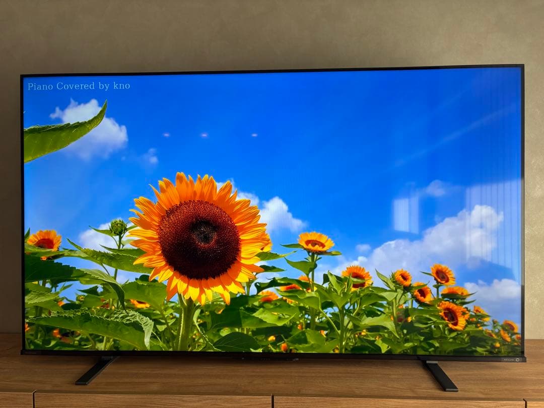 キョ　REGZA 65インチ　4K液晶テレビ　24年製
