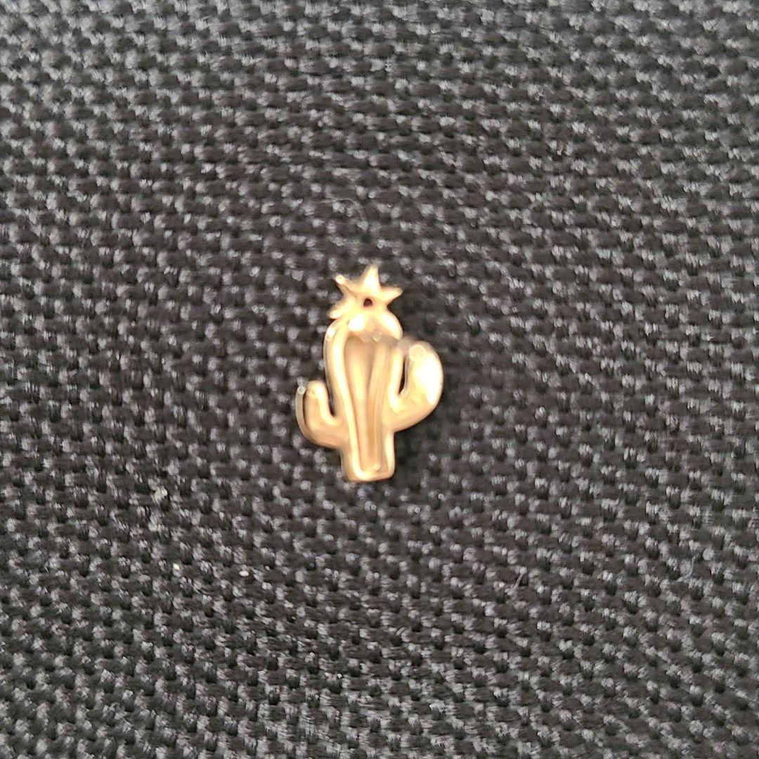 サボテン STAR JEWELRY GIRL K10 スタッズ ピアス 片耳用