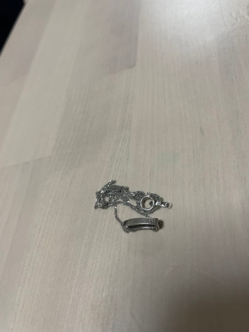 かいりゅー☆彡さん専用　プラチナネックレス