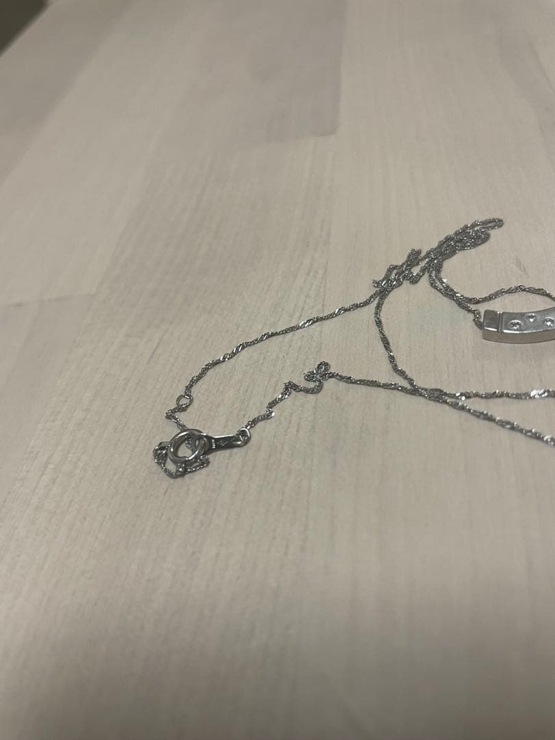 かいりゅー☆彡さん専用　プラチナネックレス