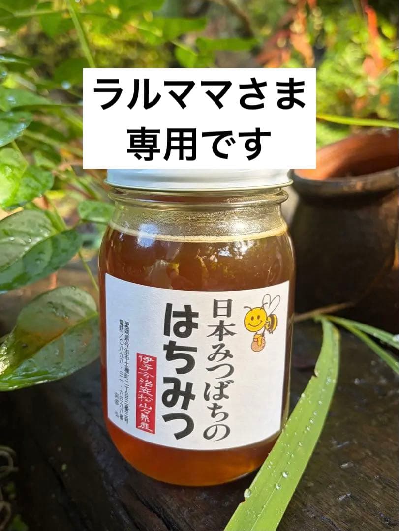 はちみつ　日本蜜蜂のハチミツ　奥山の奥の蜂蜜　国産蜂蜜愛媛産