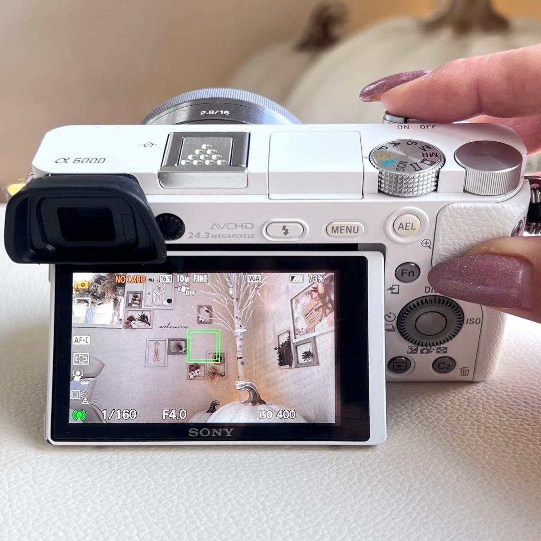 SONY α6000 ILCE-6000Y ボディWhite レンズ4本セット