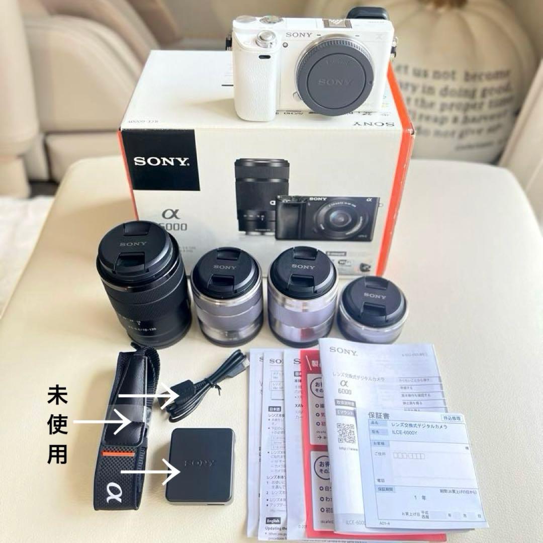 SONY α6000 ILCE-6000Y ボディWhite レンズ4本セット