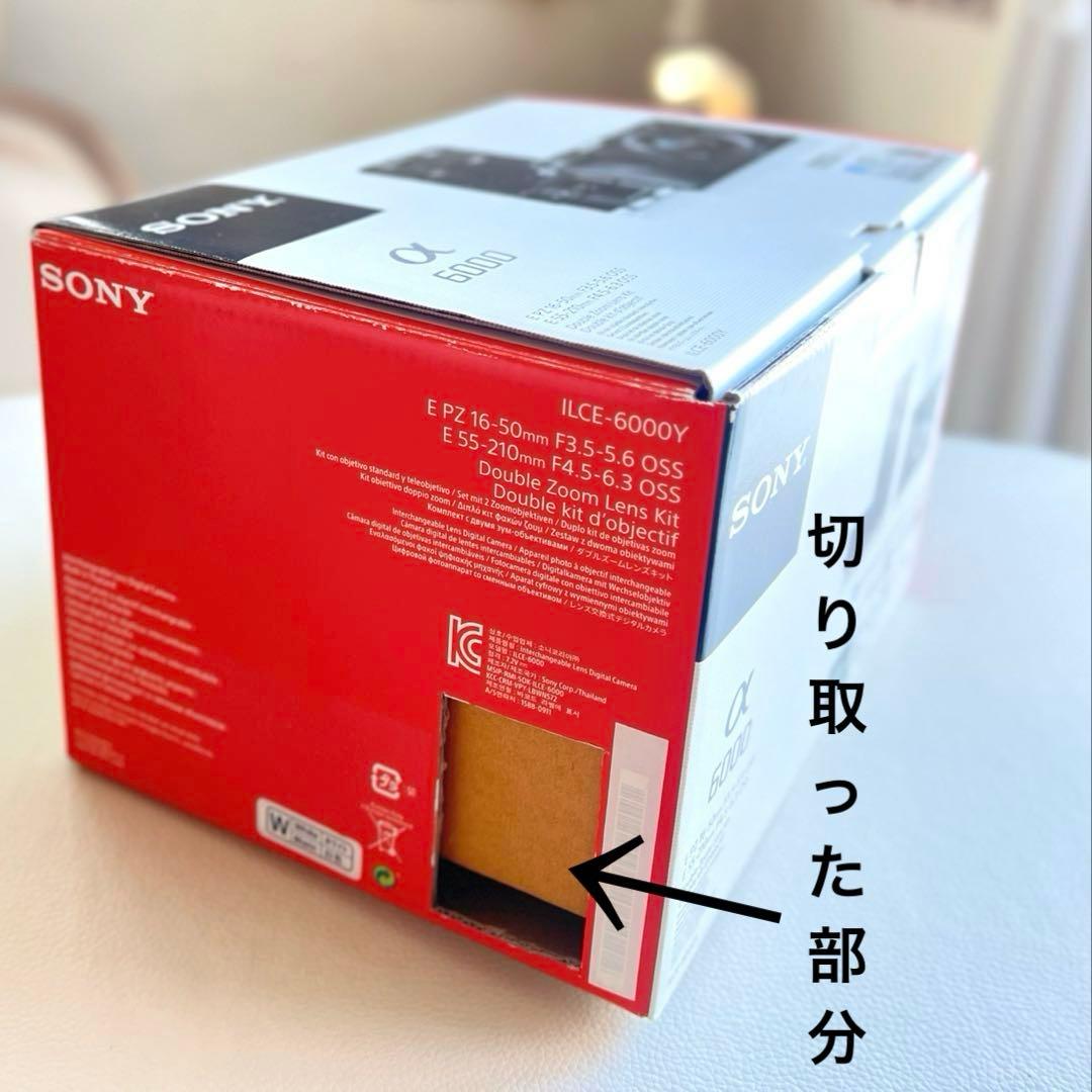 SONY α6000 ILCE-6000Y ボディWhite レンズ4本セット