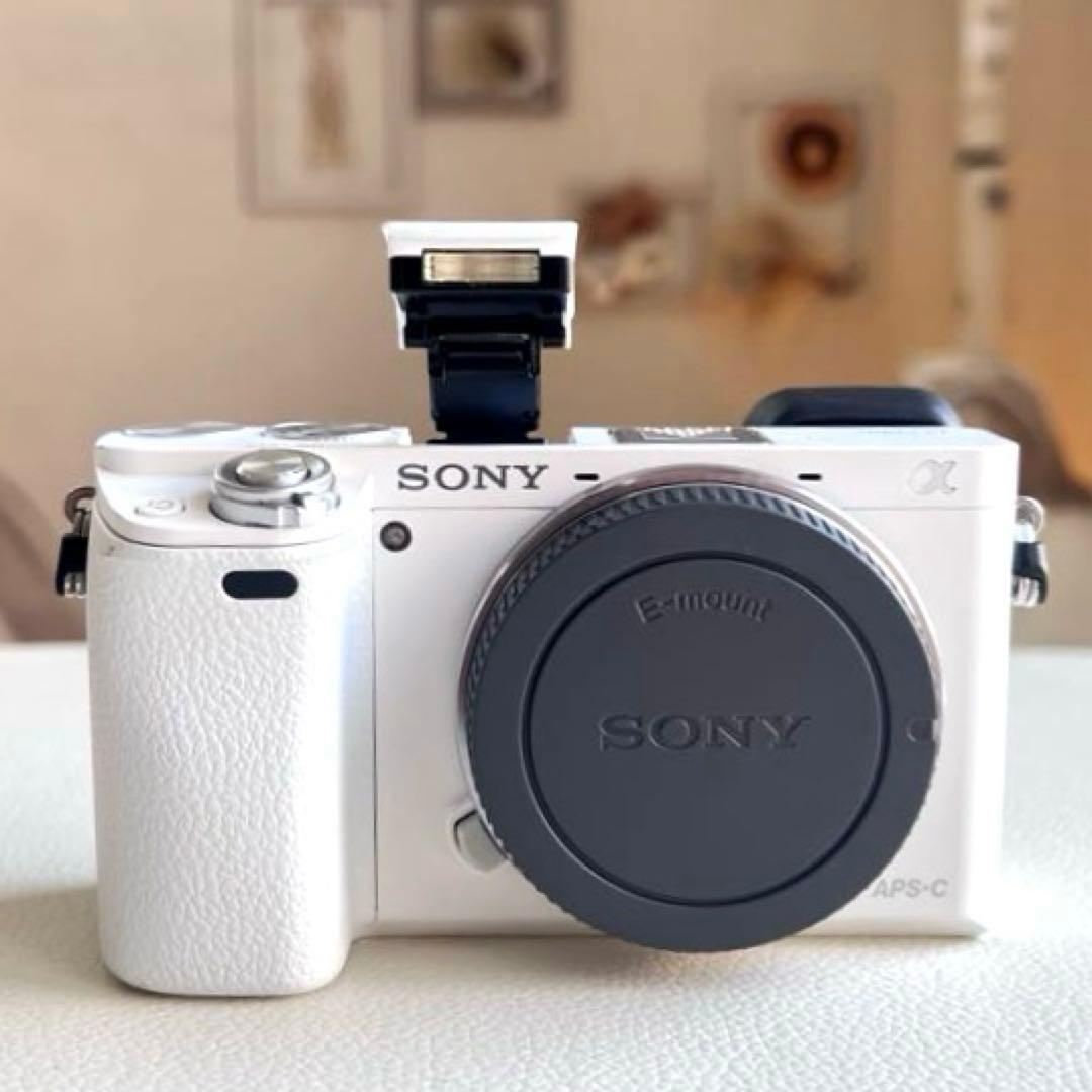 SONY α6000 ILCE-6000Y ボディWhite レンズ4本セット