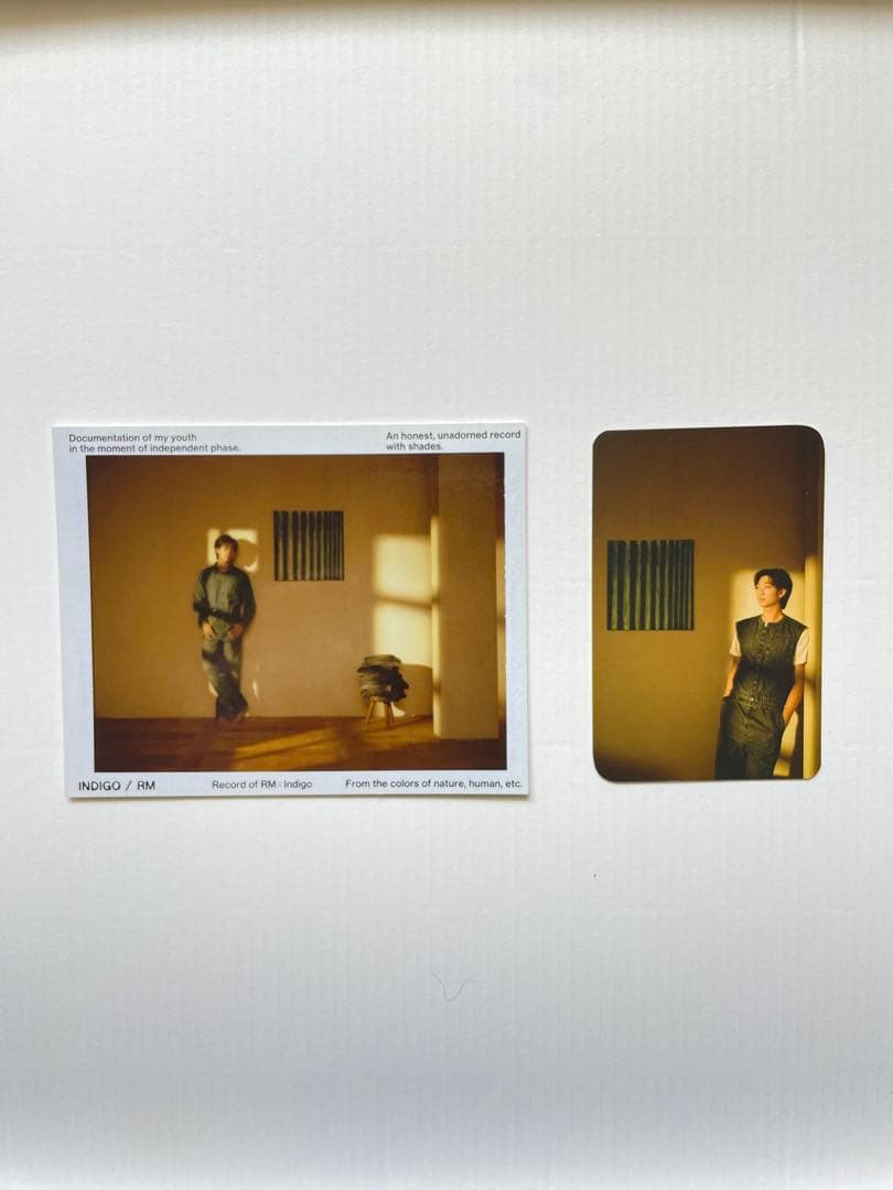 その他 BTS RM indigo lp