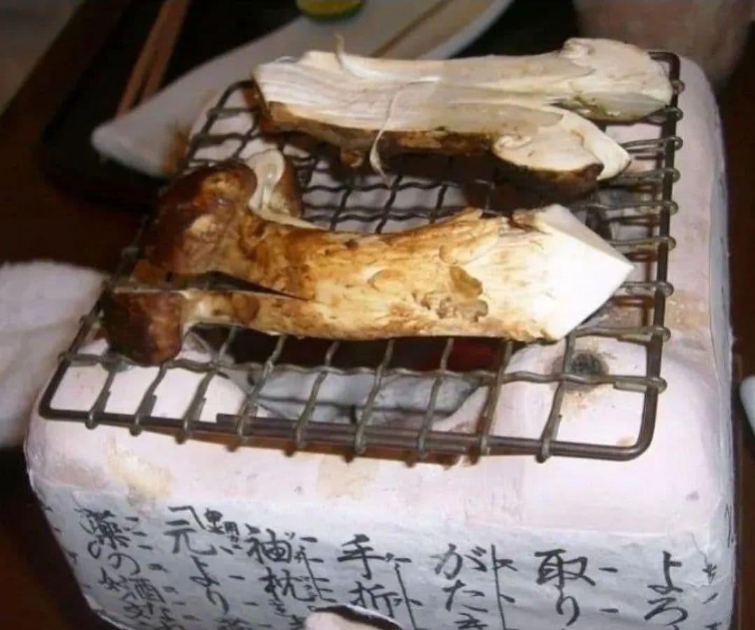 岩手産 特秀品【天然 大つぼみ 松茸 約400g前後】3~5本 御供 贈答