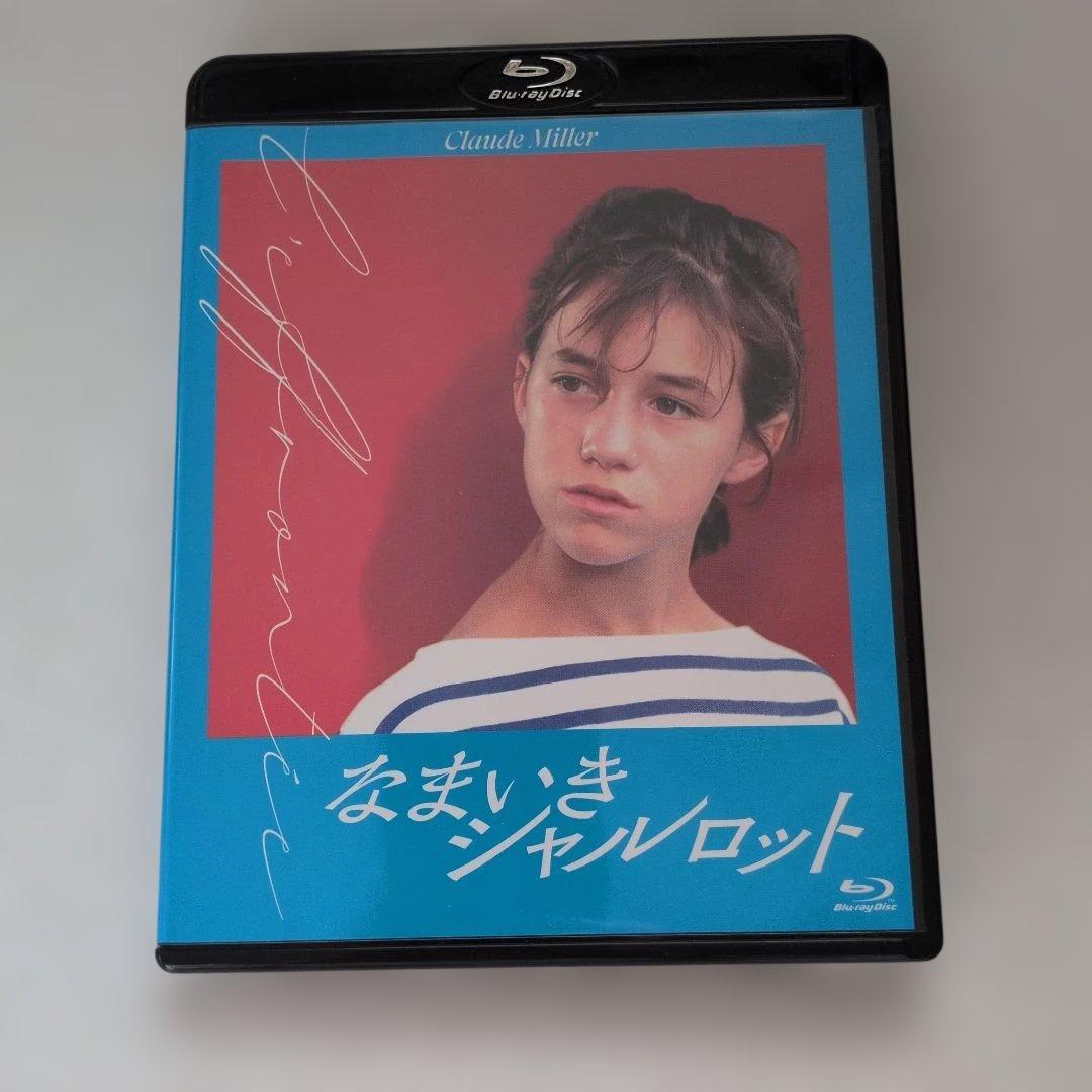 川のほとりのおもしろ荘　計5枚