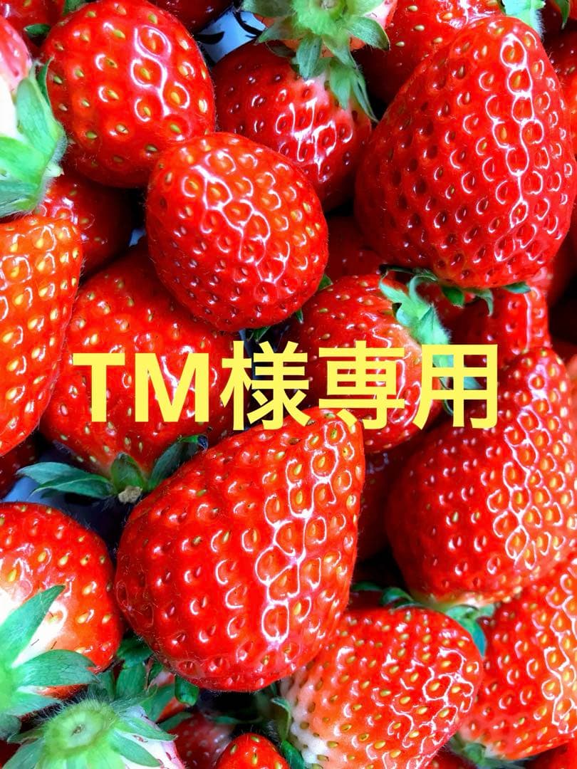 果物 TM