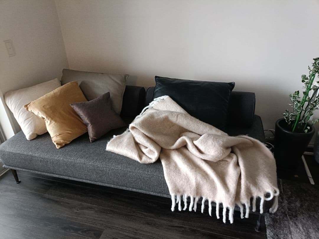 本革クッション付　フランスベッド　FREEing　ソファベッド