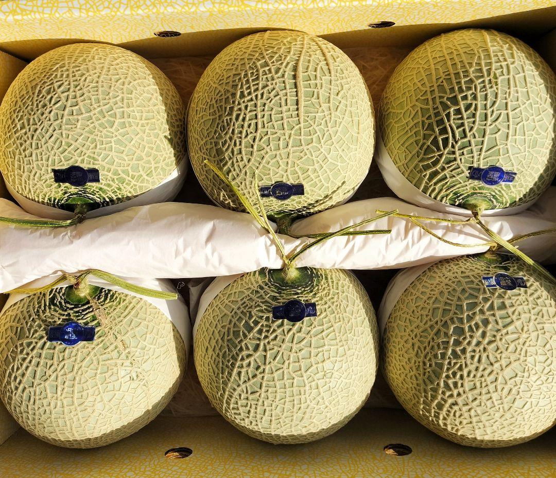 佐*左様 高知産 　約９，０ｋｇ　訳あり温室マスクメロン　６玉　家庭用　北海道沖