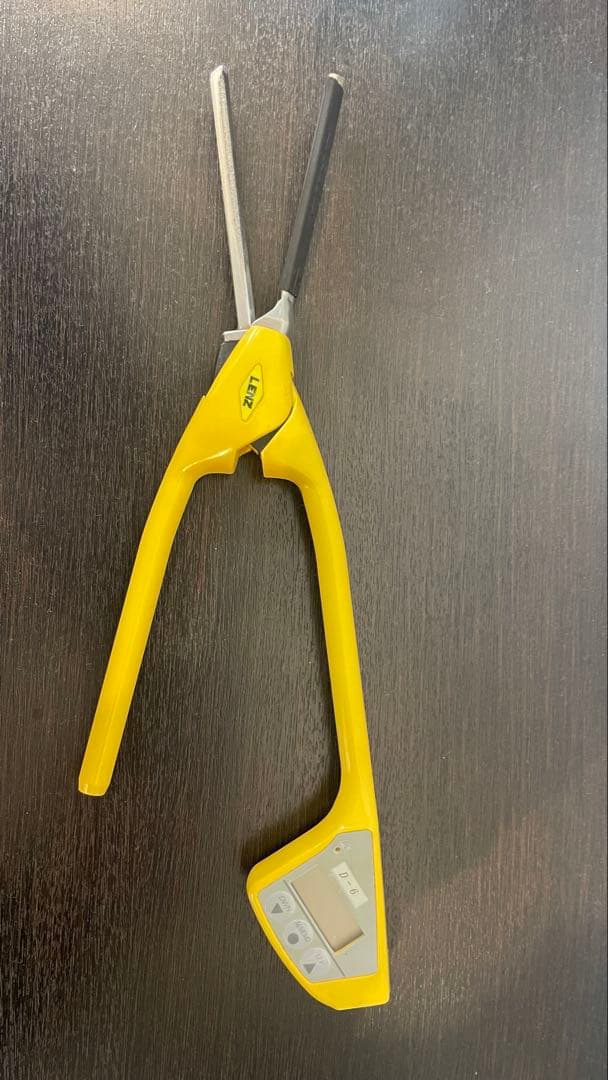 レンツアイロン D-6