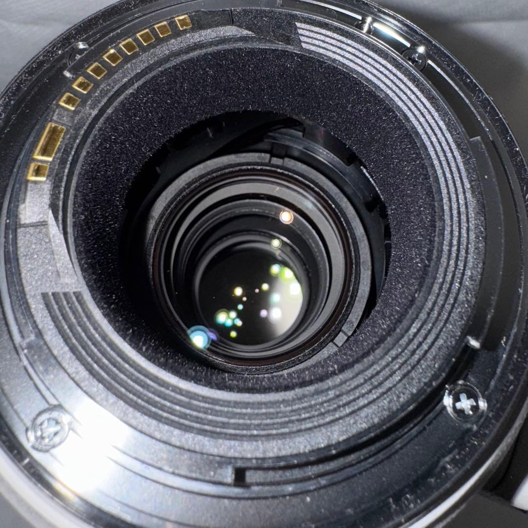 Canon 100-400 F4.5-5.6 L IS II USM 望遠レンズ