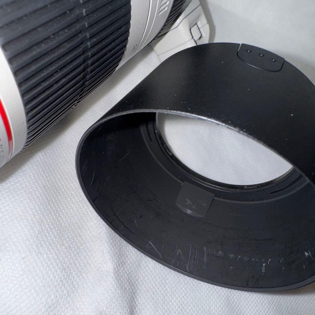 Canon 100-400 F4.5-5.6 L IS II USM 望遠レンズ