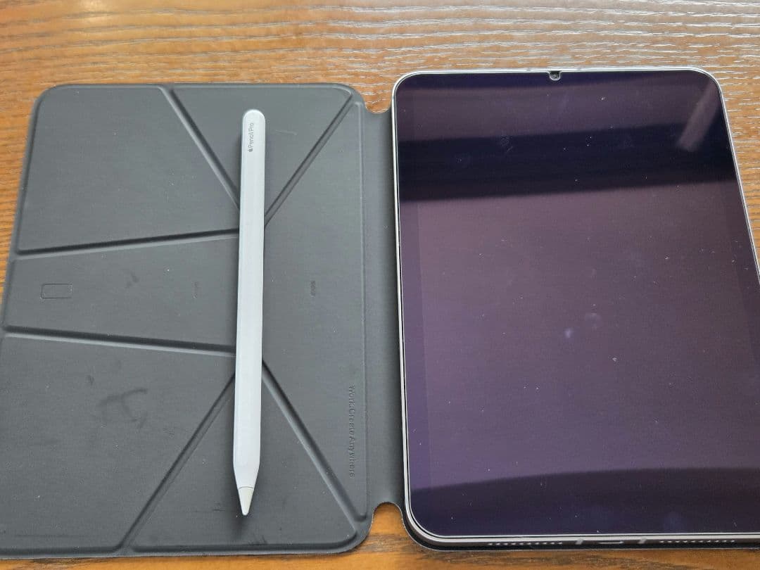 iPad mini (A17 Pro) Cellular　箱無し本体のみ