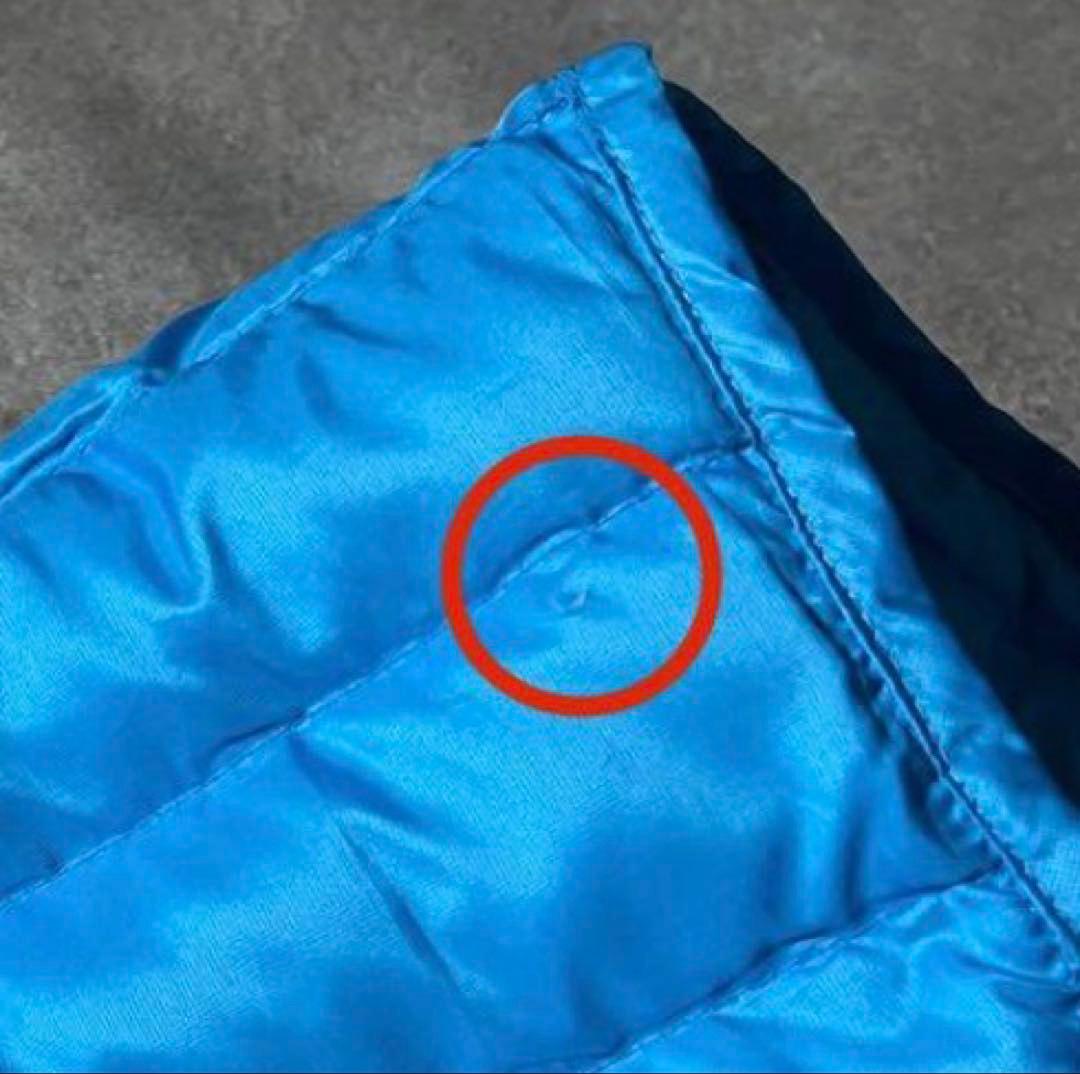 Patagonia ダウンセーター 青 ダウンジャケット グースダウン ブルー