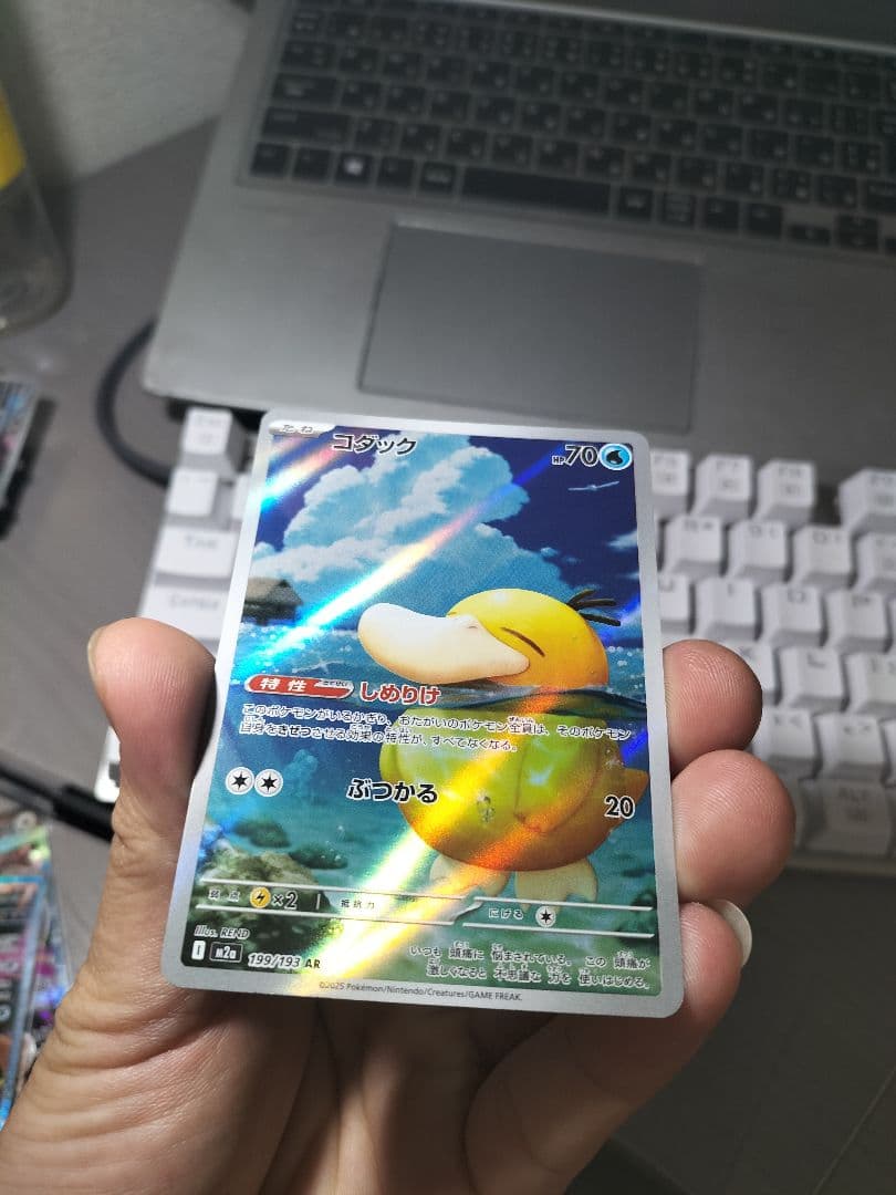 コダック　10枚セット