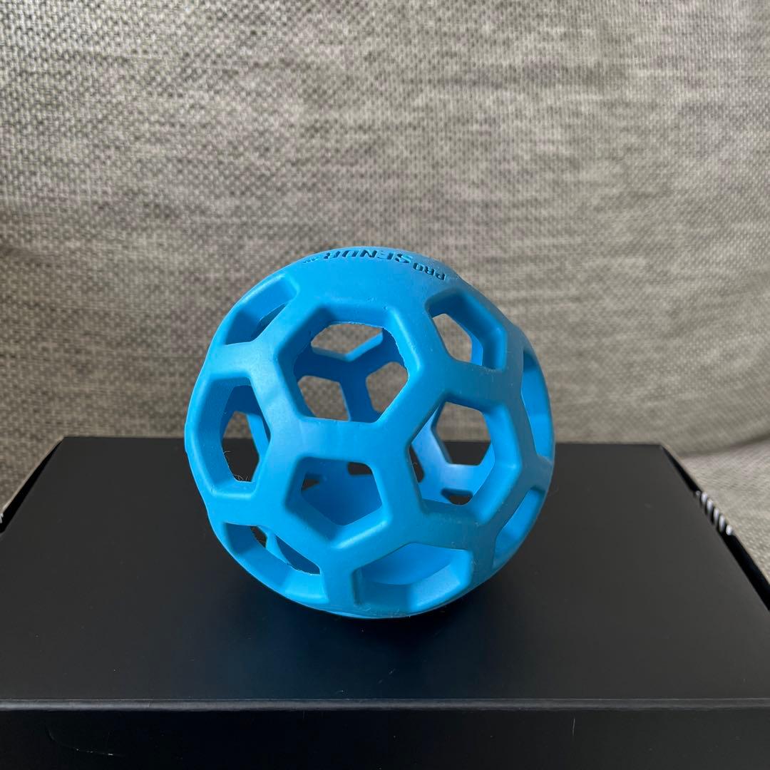 PRO SENDR 右手用ゴルフトレーニング