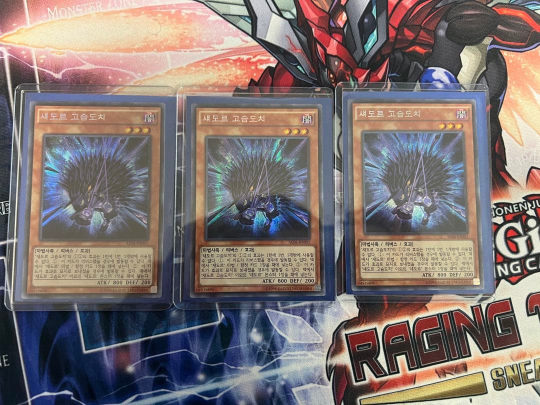 シャドール・ヘッジホッグ　韓国　シークレットAE06