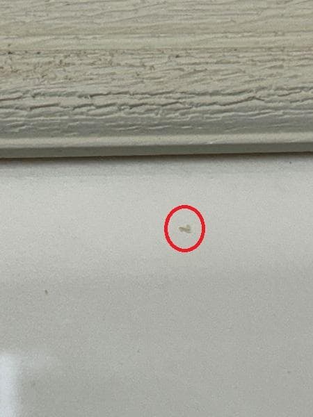 Y【保管品】渡辺あきお　海辺の出会い　ねこ　海　版画　限定　 17/100 レア