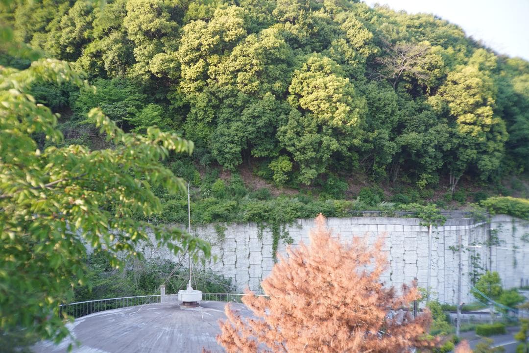 Canon 50mm F1.2 L39 作例あり