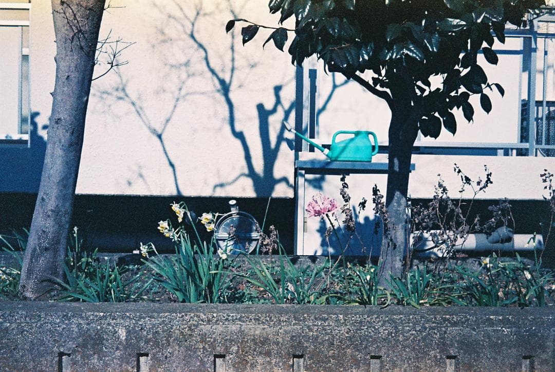 【修理済・完動品】 Olympus Trip 35