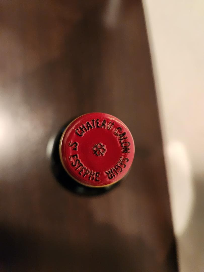 シャトー　カロン.セギュール1993